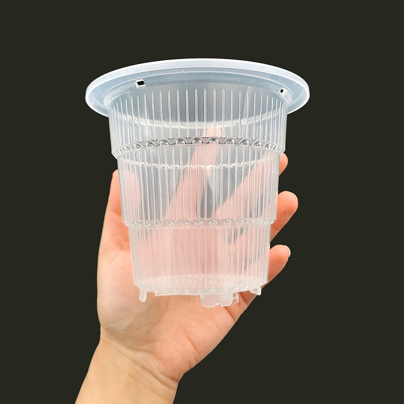 Clear Orchid Pot with Holes - Small
