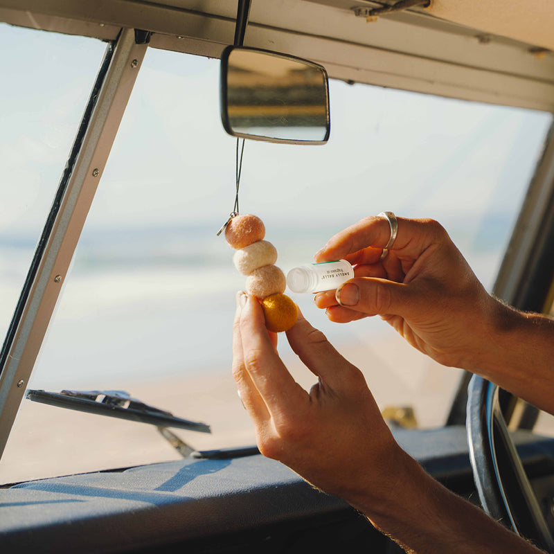 Sun Seeker Smelly Balls Air Freshener Set with Coconut & Lime Fragrance